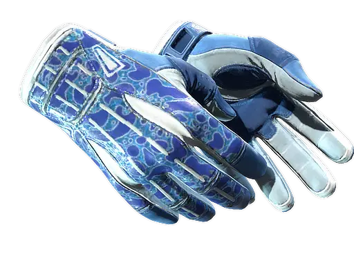 ★ Sport Gloves | Amphibious
