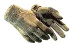★ Sport Gloves | Arid