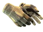 ★ Sport Gloves | Arid
