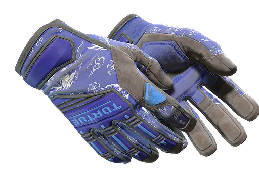 ★ Specialist Gloves | Cloud Chaser