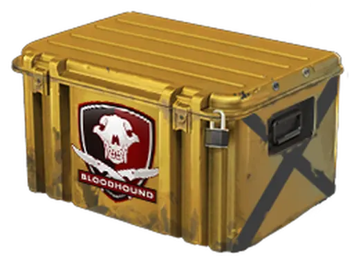 Falchion Case