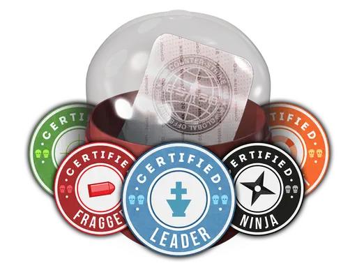 Team Roles Capsule