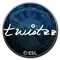 Twistzz (Foil) | Katowice 2019