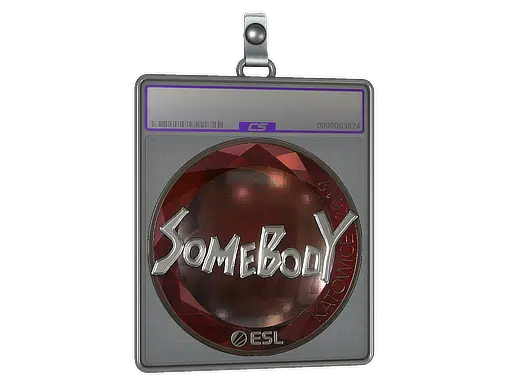 Sticker Slab | somebody (Foil) | Katowice 2019