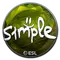 s1mple (Foil) | Katowice 2019