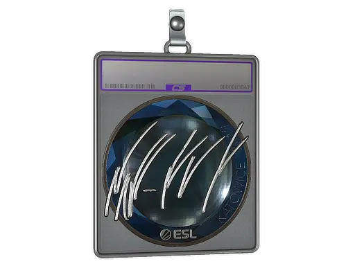 Sticker Slab | NAF (Foil) | Katowice 2019