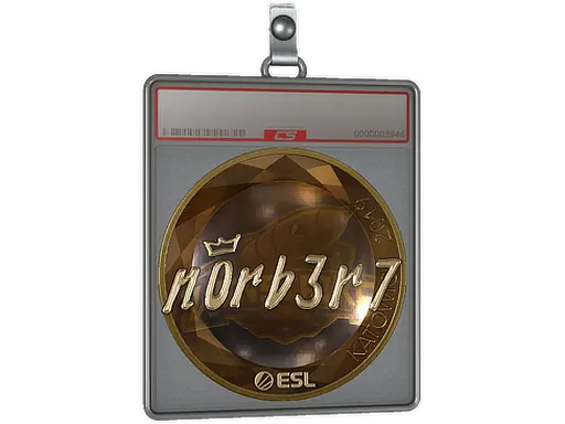 Sticker Slab | n0rb3r7 (Gold) | Katowice 2019