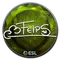 felps (Foil) | Katowice 2019