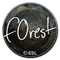 f0rest (Foil) | Katowice 2019