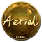 Aerial (Gold) | Katowice 2019