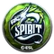 Team Spirit (Foil) | Katowice 2019