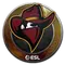 Renegades | Katowice 2019