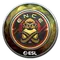 ENCE (Foil) | Katowice 2019