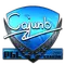 cajunb (Foil) | Krakow 2017
