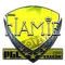 flamie (Foil) | Krakow 2017