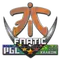 Fnatic (Holo) | Krakow 2017