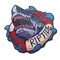 Operation Riptide