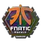 Fnatic (Holo) | London 2018