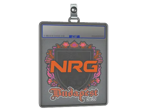 Sticker Slab | NRG | Budapest 2025