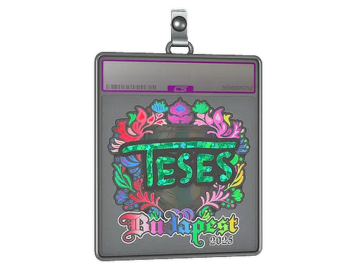 Sticker Slab | TeSeS (Holo) | Budapest 2025