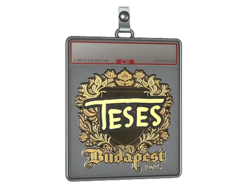 Sticker Slab | TeSeS (Gold) | Budapest 2025