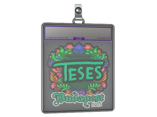 Sticker Slab | TeSeS (Embroidered) | Budapest 2025