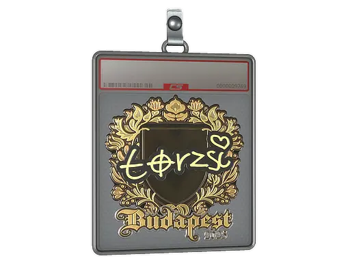 Sticker Slab | torzsi (Gold) | Budapest 2025