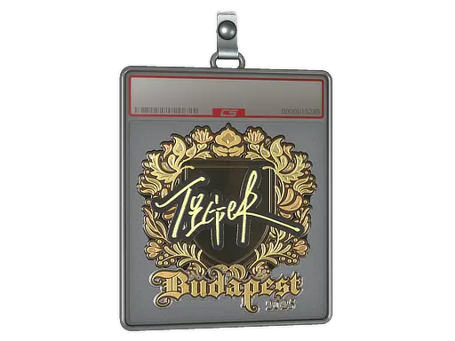 Sticker Slab | Tiger (Gold) | Budapest 2025