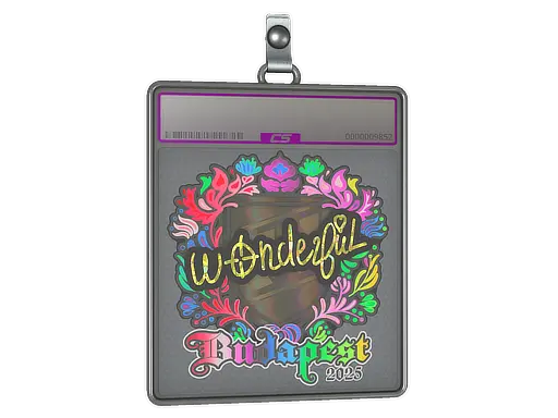 Sticker Slab | w0nderful (Holo) | Budapest 2025
