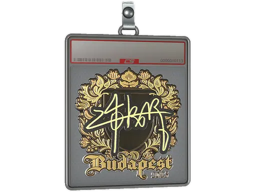 Sticker Slab | z4KR (Gold) | Budapest 2025