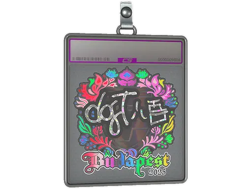 Sticker Slab | dgt (Holo) | Budapest 2025