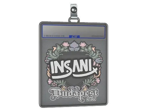 Sticker Slab | insani | Budapest 2025