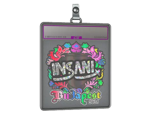 Sticker Slab | insani (Holo) | Budapest 2025