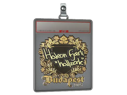 Sticker Slab | hallzerk (Gold) | Budapest 2025