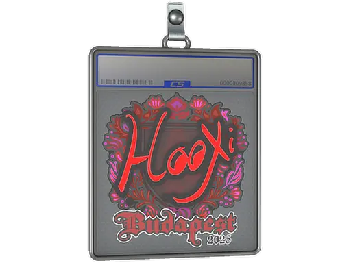 Sticker Slab | HooXi | Budapest 2025
