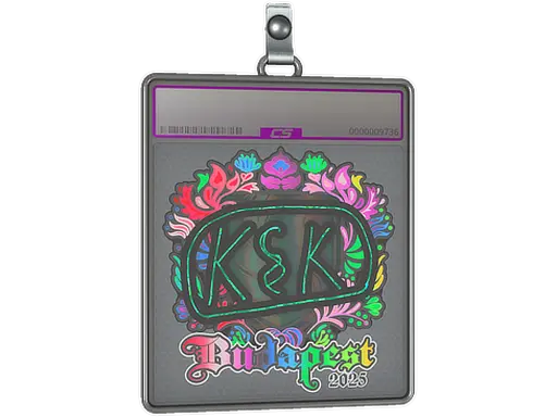Sticker Slab | kyousuke (Holo) | Budapest 2025