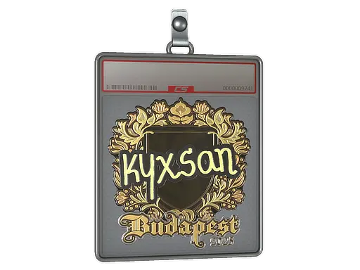 Sticker Slab | kyxsan (Gold) | Budapest 2025
