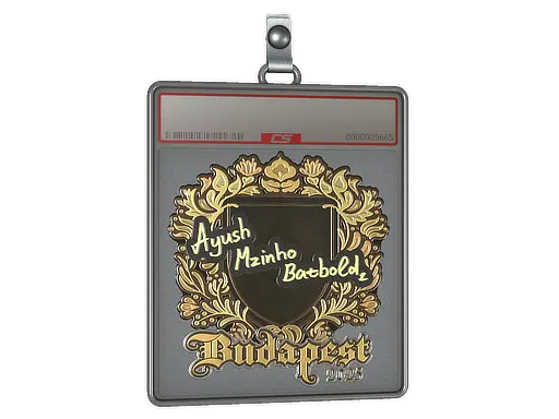 Sticker Slab | mzinho (Gold) | Budapest 2025