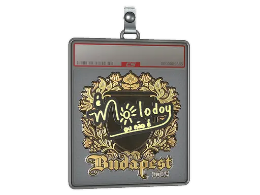 Sticker Slab | molodoy (Gold) | Budapest 2025