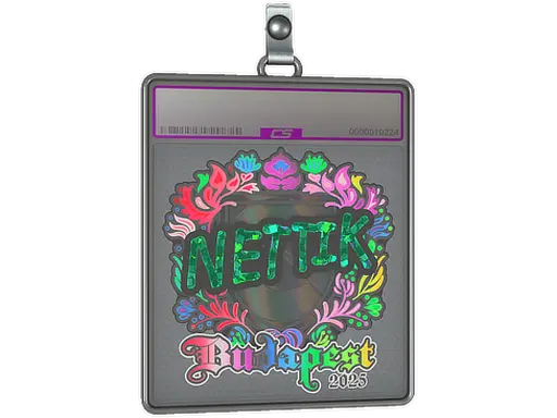 Sticker Slab | nettik (Holo) | Budapest 2025
