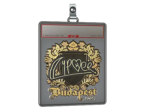 Sticker Slab | Cypher (Gold) | Budapest 2025