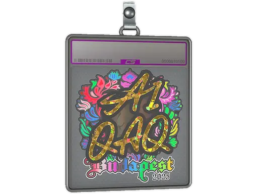 Sticker Slab | EmiliaQAQ (Holo) | Budapest 2025