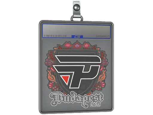 Sticker Slab | paiN Gaming | Budapest 2025