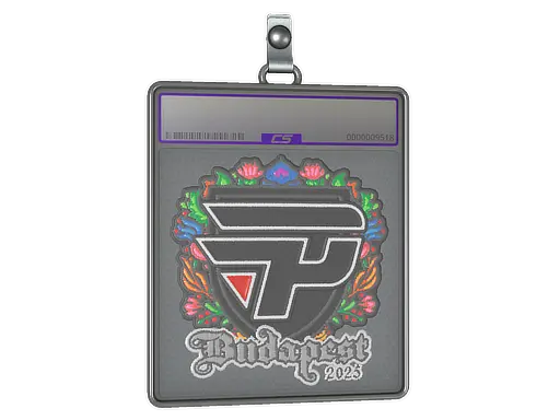 Sticker Slab | paiN Gaming (Embroidered) | Budapest 2025