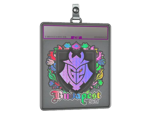 Sticker Slab | G2 esports (Holo) | Budapest 2025