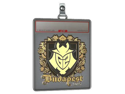Sticker Slab | G2 esports (Gold) | Budapest 2025