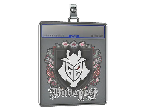 Sticker Slab | G2 esports | Budapest 2025