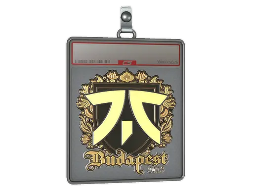 Sticker Slab | fnatic (Gold) | Budapest 2025