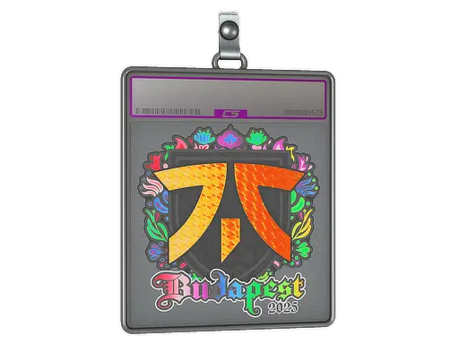 Sticker Slab | fnatic (Holo) | Budapest 2025