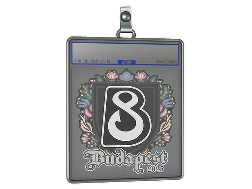 Sticker Slab | B8 | Budapest 2025